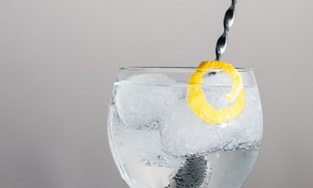 10 claves para preparar un Gin-Tonic de 10