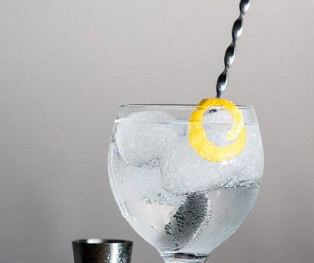 10 claves para preparar un Gin-Tonic de 10