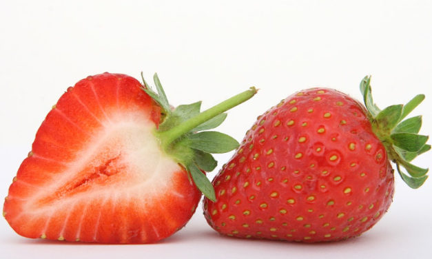 Las fresas evitan la placa dental y fortalecen el esmalte