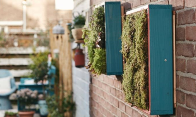 Construye un jardín vertical en tu hogar