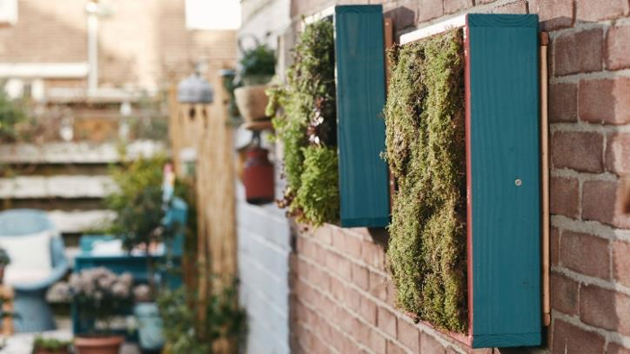 Construye un jardín vertical en tu hogar