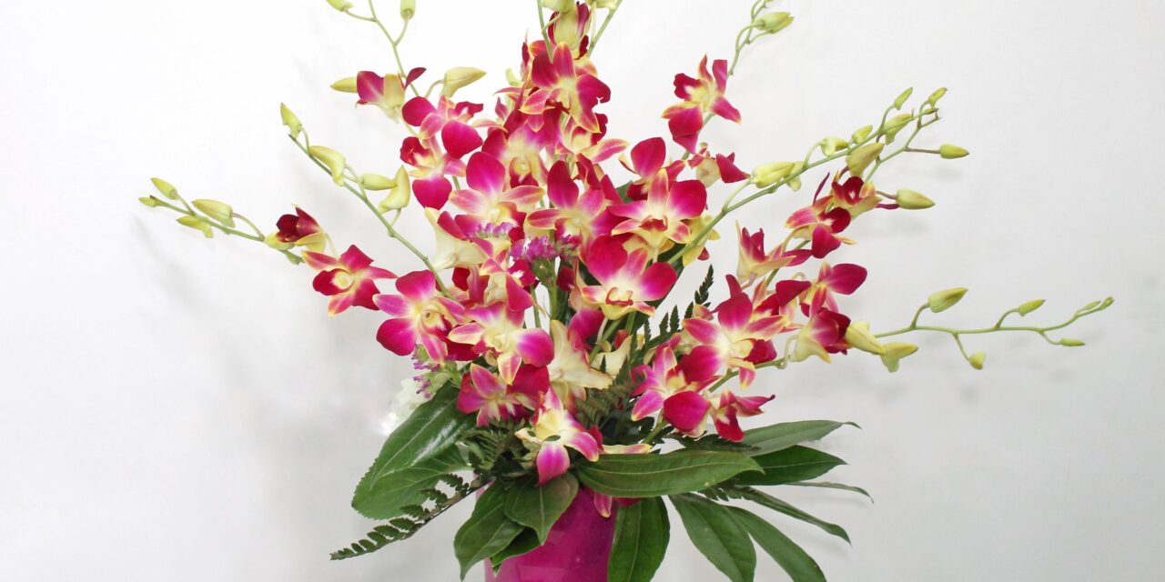 La primavera llega a tu hogar con las flores de LEURS FLEURS