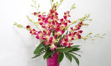 La primavera llega a tu hogar con las flores de LEURS FLEURS