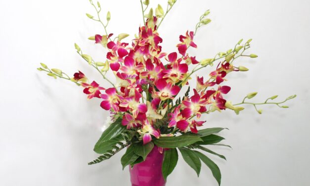 La primavera llega a tu hogar con las flores de LEURS FLEURS